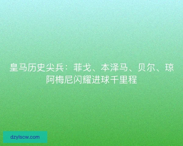 皇马历史尖兵：菲戈、本泽马、贝尔、琼阿梅尼闪耀进球千里程
